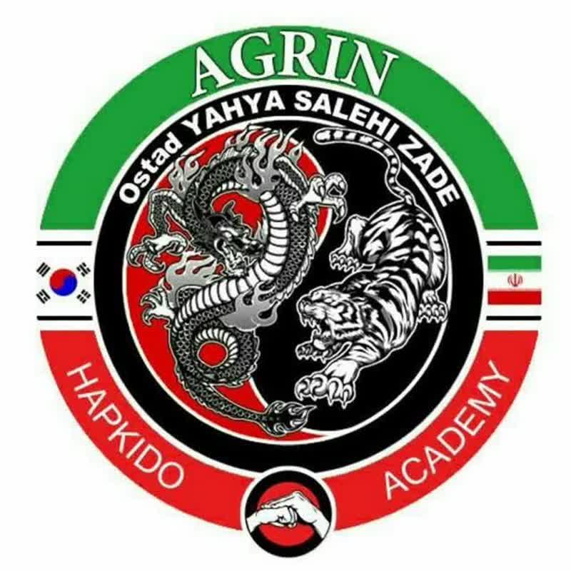 کلیپ اجرای دفاع شخصی سلاح هنرجویان باشگاه فانوس 